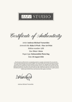 Make It Work - Fine Art Print — Certificate of Authenticity